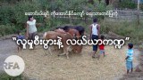 ank-weekly-622.jpg