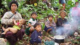 IDPs_in_jungle_305px.jpg