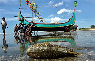 bangladeshi-fishing-boat-b305 bangladeshi-fishing-boat-b305
