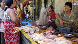 bazaar_chicken_305_z.png