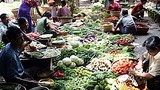 bazaar_vegetables_305_z.jpg