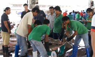 bur_migrant_labor_fishmarket_305_z bur_migrant_labor_fishmarket_305_z