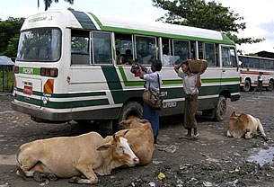 bus_hawkers_305px.jpg bus_hawkers_305px.jpg