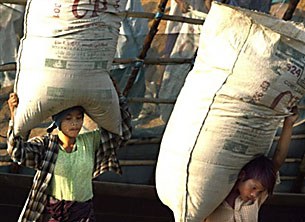 child_labor_305_z child_labor_305_z