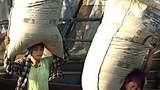 child_labor_305_z