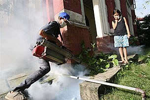 dengue_spray_305px.jpg dengue_spray_305px.jpg