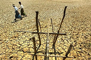 dried_earth_305_z dried_earth_305_z