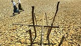 dried_earth_305_z