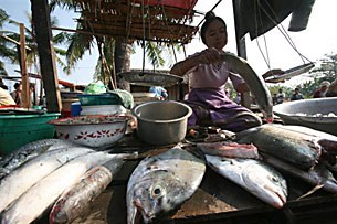 fish_vendor_305px.jpg fish_vendor_305px.jpg