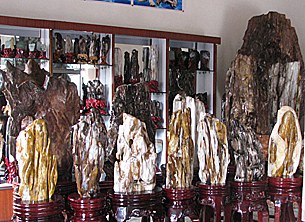 fosil_wood_305px.jpg fosil_wood_305px.jpg