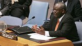 gambari_2008_unsc_305px