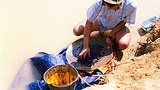 gold_mining_305px.jpg
