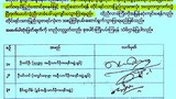 kalay_declaration_305_z