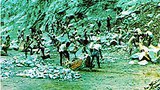 labor_camp_L.jpg
