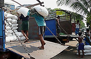 laborers_rice_305_z.jpg laborers_rice_305_z.jpg