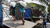laborers_rice_305_z.jpg
