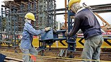 migrant_workers_305px.jpg