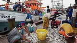 migrant_workers_A_305px.jpg