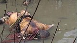 murdered_monk_305_Z.jpg
