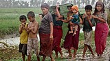 nargis_rain_305px.jpg
