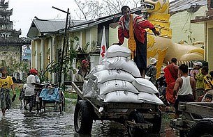 nargis_rice_305px.jpg nargis_rice_305px.jpg