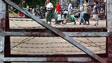 people_barbed_wire_305px.jpg