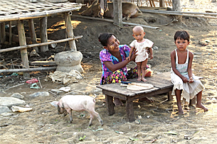pig_poverty_child_305_z.png pig_poverty_child_305_z.png