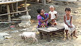 pig_poverty_child_305_z.png