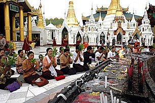prayers_shwedagon_305px.jpg prayers_shwedagon_305px.jpg