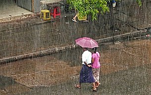 rain_heavy_305px.jpg rain_heavy_305px.jpg