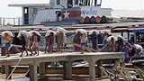 rice-workers-305