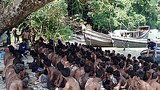 rohingya_island_305px.jpg