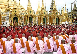 saffron_shwedagon_305px.jpg saffron_shwedagon_305px.jpg