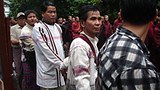 saffron_zomi_305_z.jpg