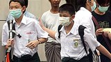 swine_flu_burma_305px.jpg