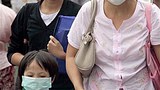 swine_flu_mask_305px.jpg