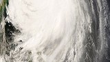 typhoon_jangmi_305px.jpg