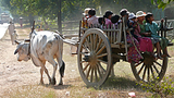 villagers_ox_cart_305_z.png