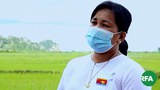 nyunt-yi-622.jpg