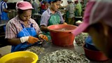 အာဏာသိမ်းပြီးနောက် ထိုင်းရောက် မြန်မာနိုင်ငံသားများအရေး ဆွေးနွေး