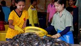 ထိုင်းရောက်ရွှေ့ပြောင်းအလုပ်သမား နေထိုင်ခွင့်အခြေအနေအကြောင်း မေးမြန်းချက်