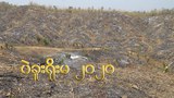 deforestation-in-myamar-622.jpg