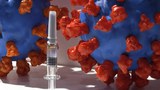 coronavirus-vaccine