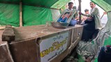 ဒေသခံတွေကြုံနေရတဲ့ မိန်းမလှကျွန်းက မိကျောင်းအန္တရာယ်