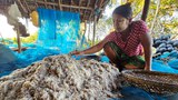 ဘိုကလေးမြို့နယ်က မျှင်ငါးပိသမားတွေ အခက်အခဲတွေ ဖြစ်နေ
