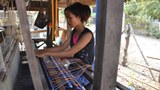 ခက်ခဲလာတဲ့ ချင်းရိုးရာ ဂျပ်ခုတ်လုပ်ငန်း