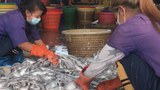 တရုတ်ပိတ်ပင်မှုကြောင့် အထိနာနေတဲ့ မြန်မာ့ရေထွက်လုပ်ငန်း