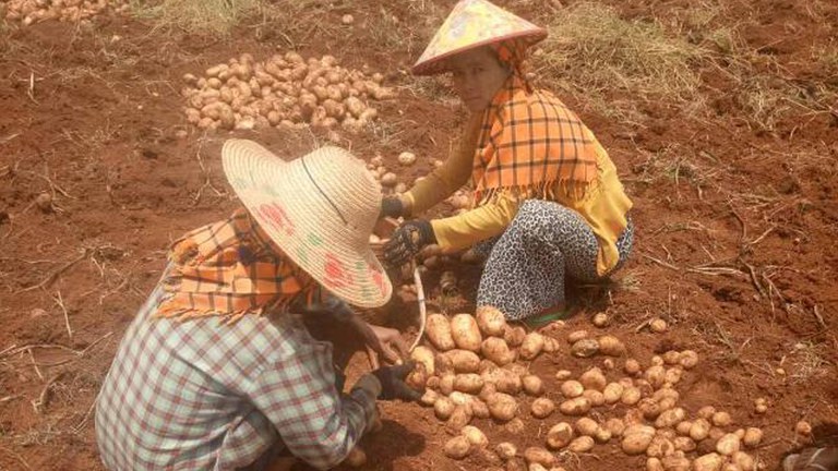 potatoes.jpg potatoes.jpg