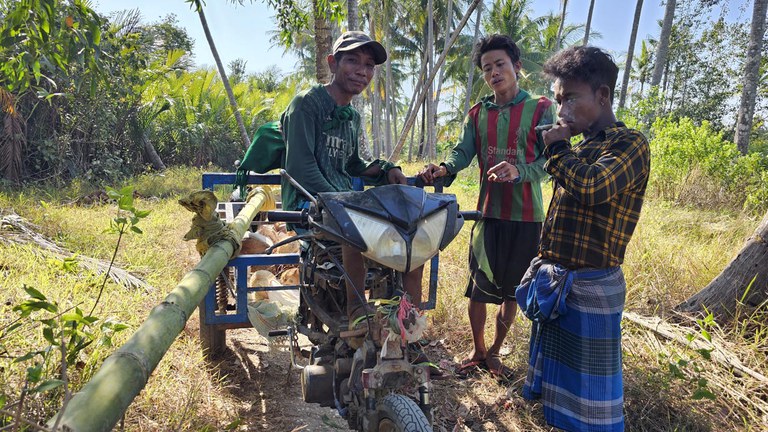 ဘိုကလေးမြို့နယ် ဇီးဖြူကွင်းကျေးရွာတွင် အုန်းပင်တက်သည့်လုပ်ငန်းခွင်အား ၂၀၂၄ ခုနှစ်၊ မတ်လ ၁၂ ရက်နေ့က တွေ့ရစဥ်။ (Photo: RFA)
