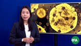 corona-prevention-622.jpg